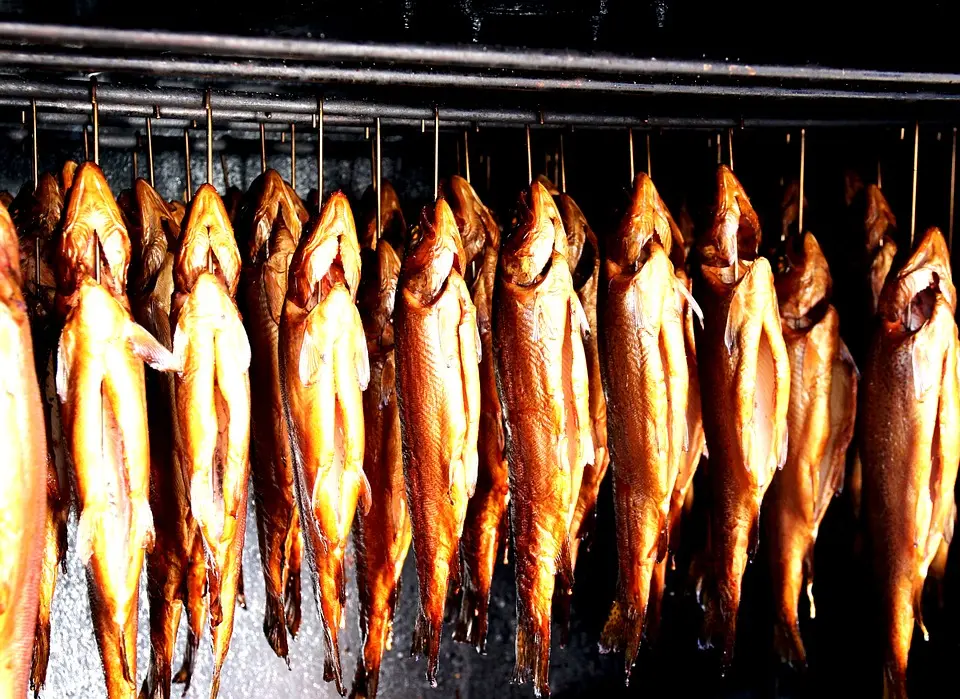 Gerookte forel