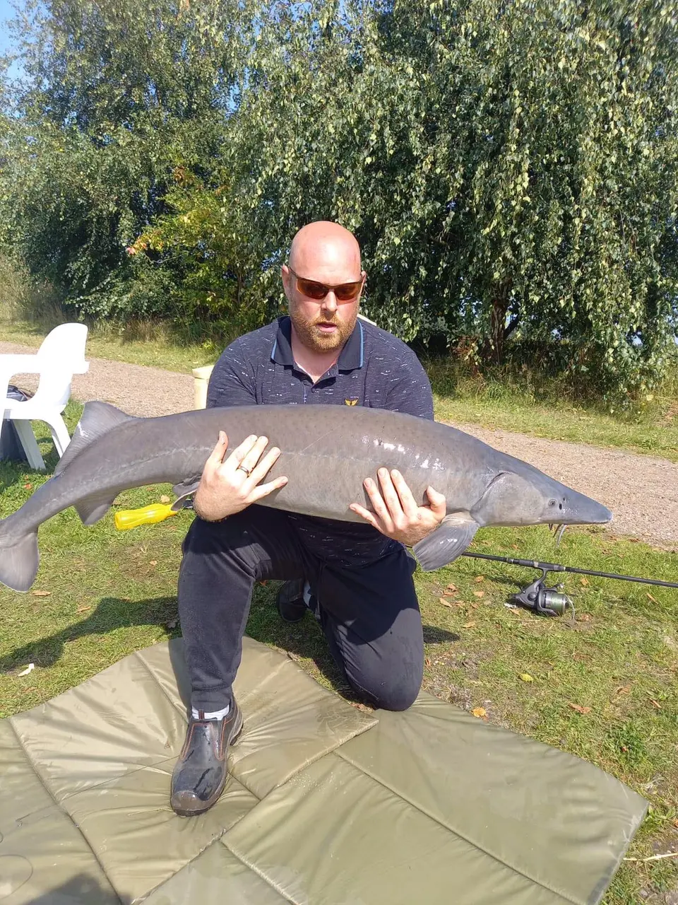 beluga groot 62 pond.JPG